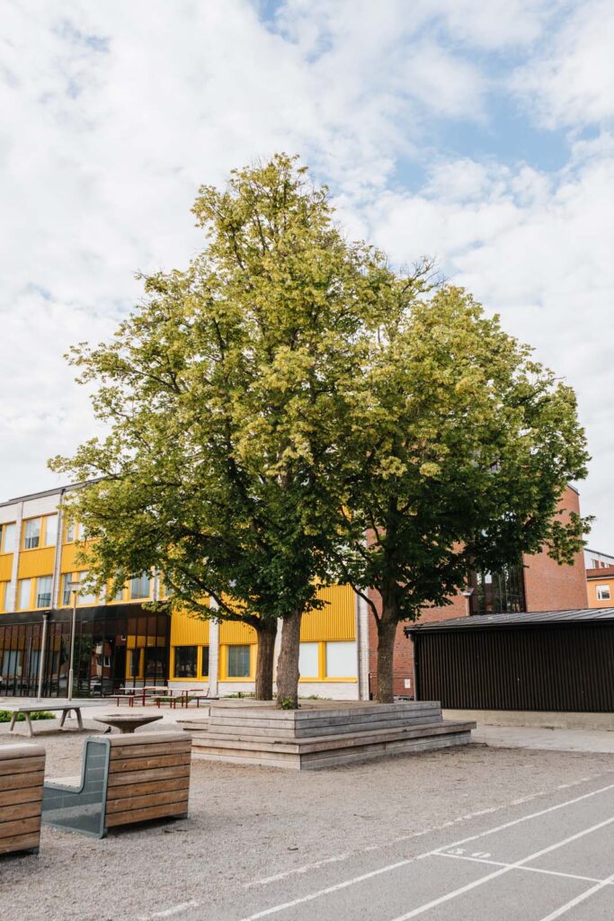 Brantingsskolan