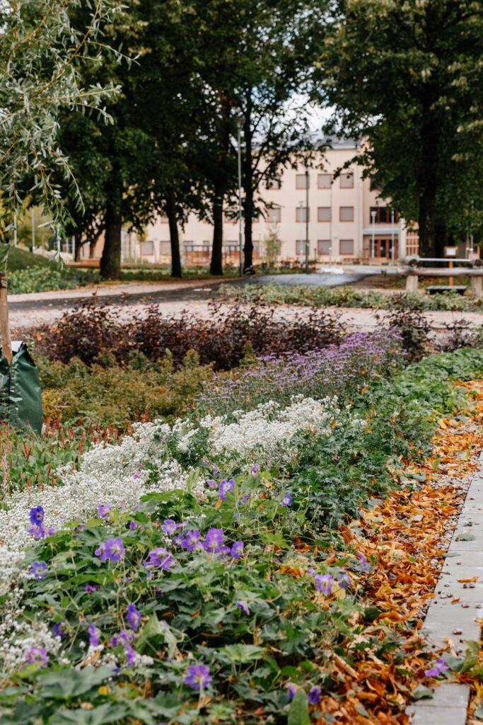 Kvarngärdesskolan. Nyproduktion av skola, idrottshall och utemiljö.